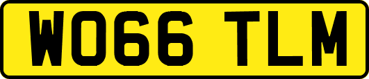 WO66TLM