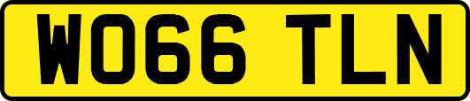 WO66TLN