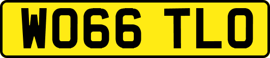WO66TLO