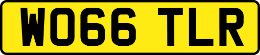 WO66TLR