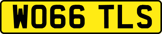 WO66TLS