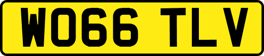 WO66TLV