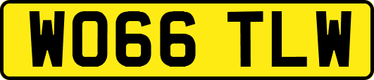 WO66TLW