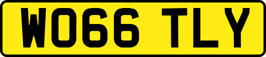 WO66TLY