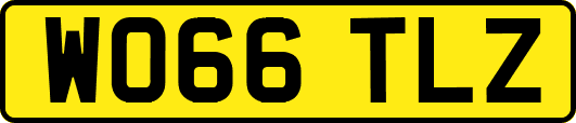 WO66TLZ