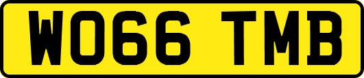 WO66TMB