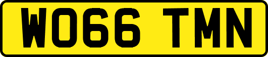 WO66TMN