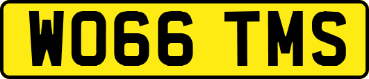 WO66TMS
