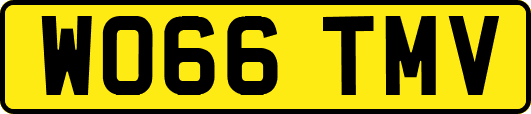 WO66TMV