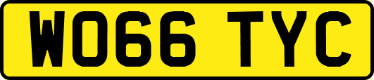 WO66TYC