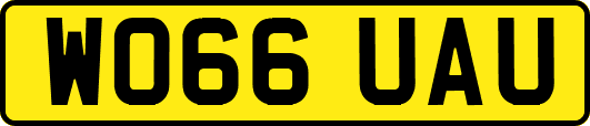 WO66UAU