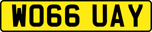 WO66UAY