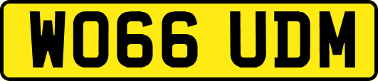 WO66UDM