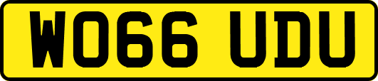 WO66UDU