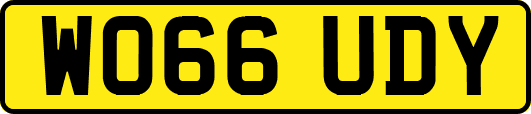 WO66UDY