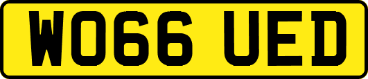 WO66UED