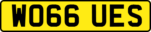 WO66UES