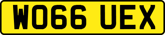 WO66UEX