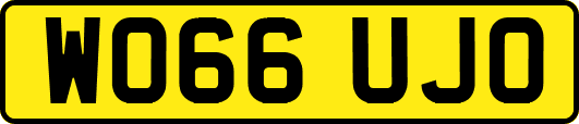 WO66UJO