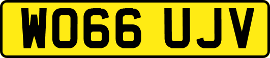 WO66UJV