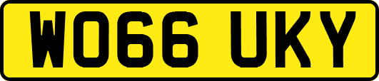 WO66UKY