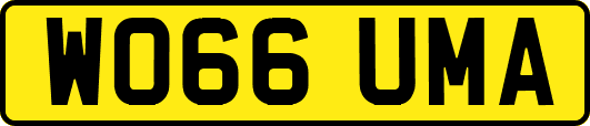 WO66UMA