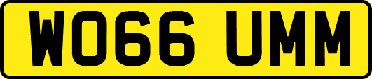 WO66UMM