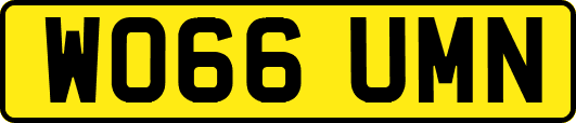 WO66UMN
