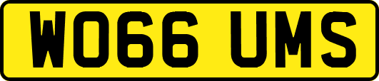 WO66UMS