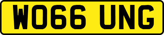 WO66UNG