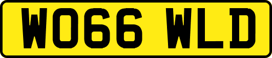 WO66WLD