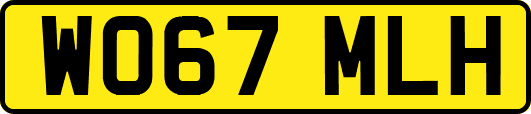 WO67MLH