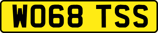 WO68TSS