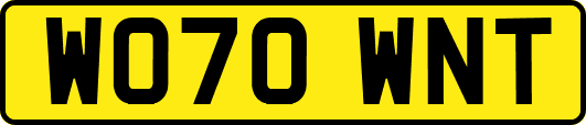 WO70WNT