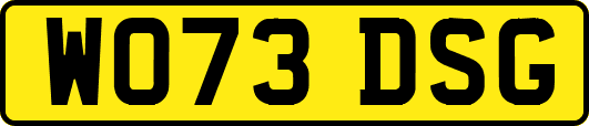 WO73DSG