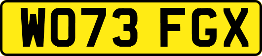 WO73FGX
