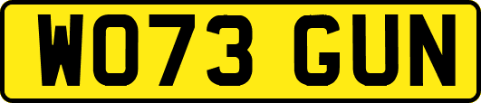 WO73GUN