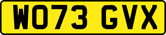 WO73GVX
