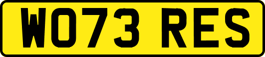 WO73RES