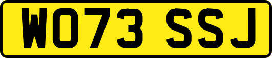 WO73SSJ