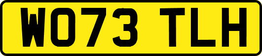 WO73TLH