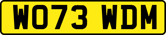 WO73WDM