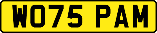 WO75PAM