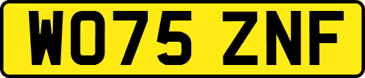WO75ZNF