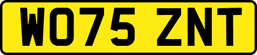 WO75ZNT