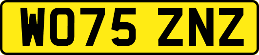 WO75ZNZ