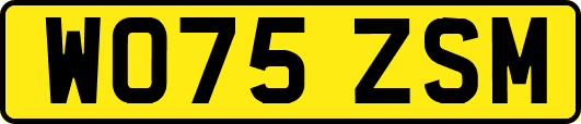 WO75ZSM