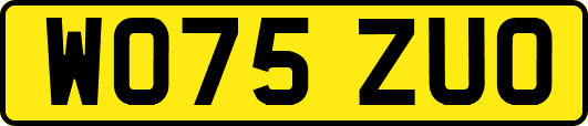 WO75ZUO