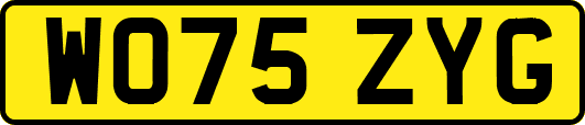 WO75ZYG