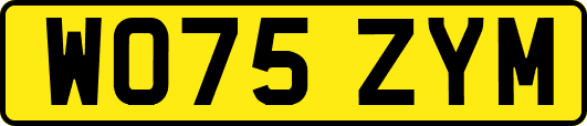 WO75ZYM
